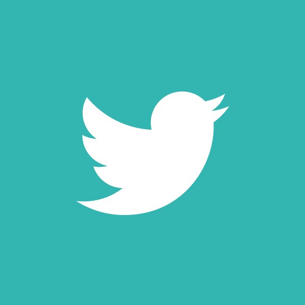 Twitter logo of white bird on teal background.